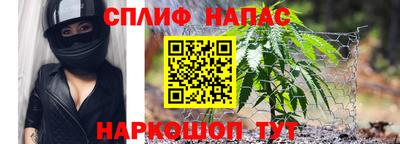 гашик Кулебаки