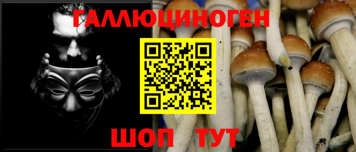 Галлюциногенные грибы MAGIC MUSHROOMS  Вход с VPN  Долгопрудный 