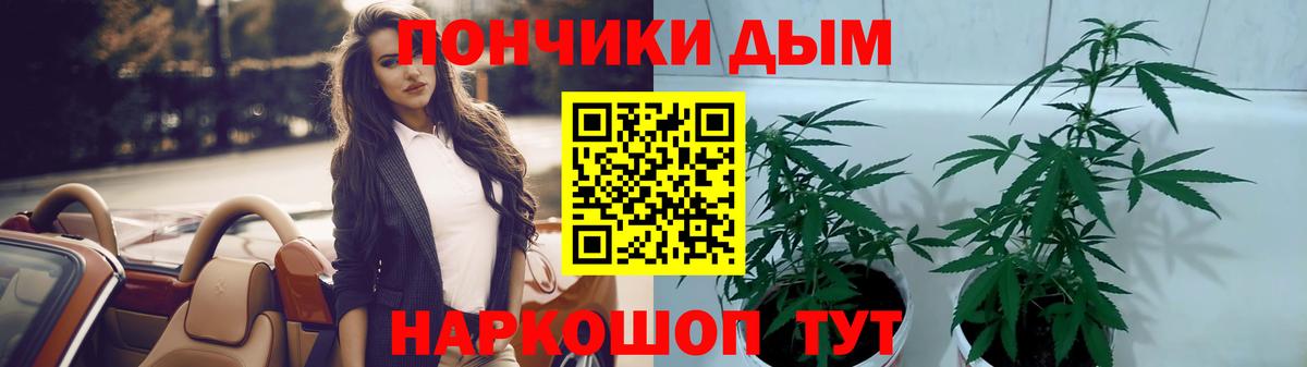 Каннабис семена Долгопрудный
